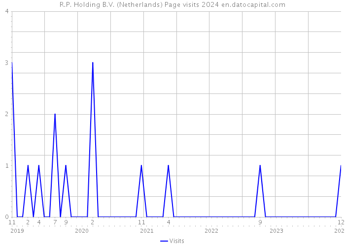 R.P. Holding B.V. (Netherlands) Page visits 2024 