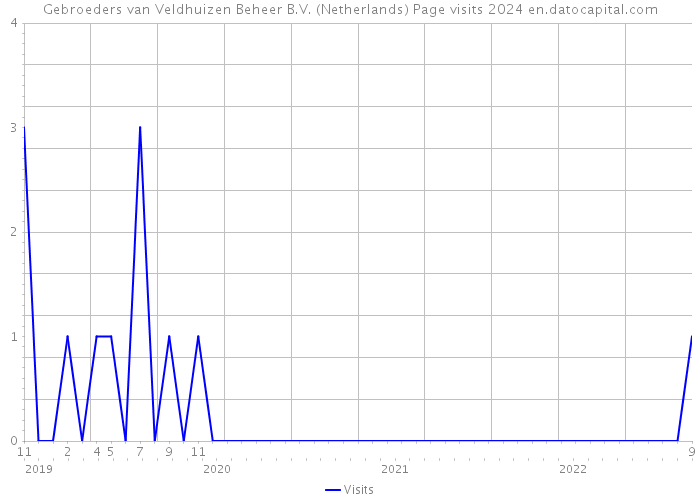 Gebroeders van Veldhuizen Beheer B.V. (Netherlands) Page visits 2024 