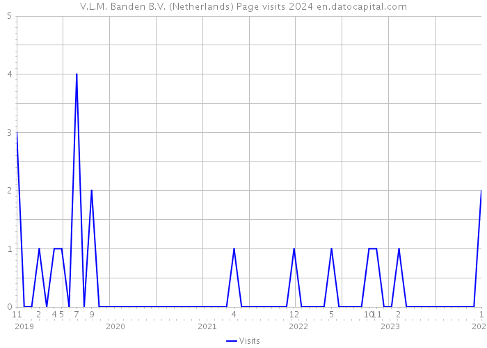 V.L.M. Banden B.V. (Netherlands) Page visits 2024 