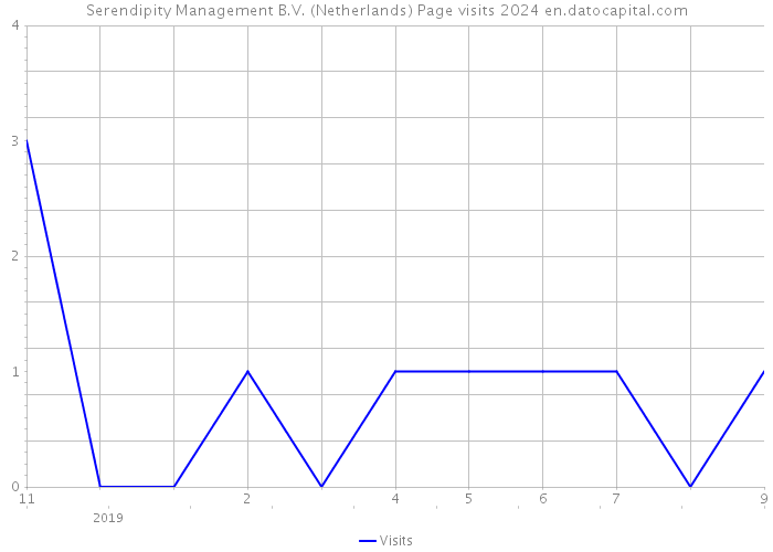 Serendipity Management B.V. (Netherlands) Page visits 2024 