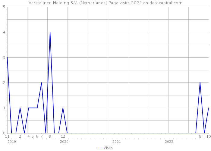 Versteijnen Holding B.V. (Netherlands) Page visits 2024 