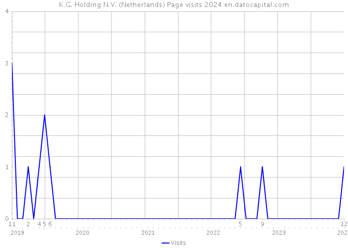 K.G. Holding N.V. (Netherlands) Page visits 2024 