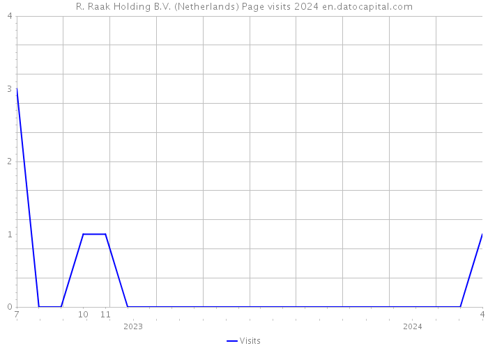 R. Raak Holding B.V. (Netherlands) Page visits 2024 