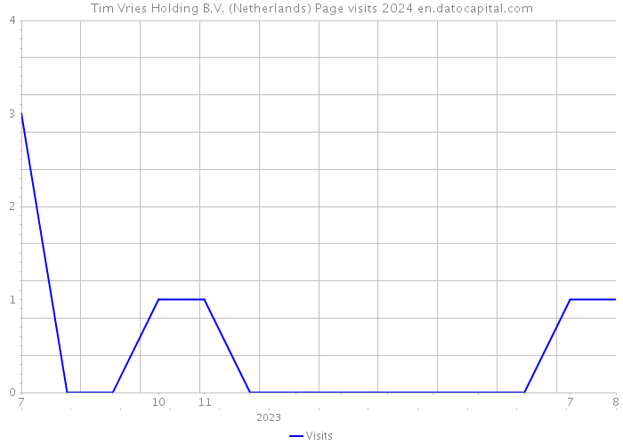 Tim Vries Holding B.V. (Netherlands) Page visits 2024 