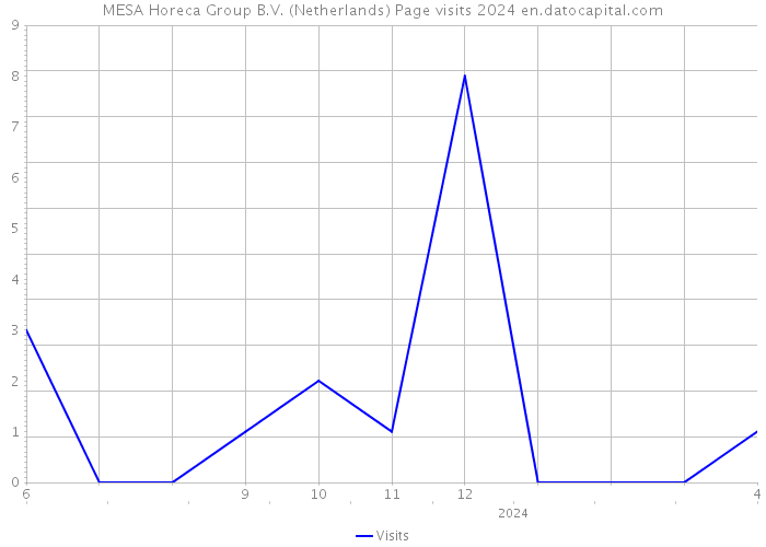 MESA Horeca Group B.V. (Netherlands) Page visits 2024 