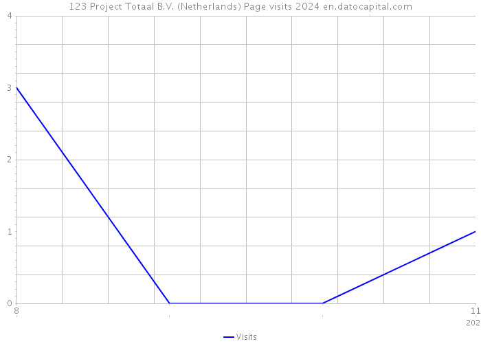 123 Project Totaal B.V. (Netherlands) Page visits 2024 