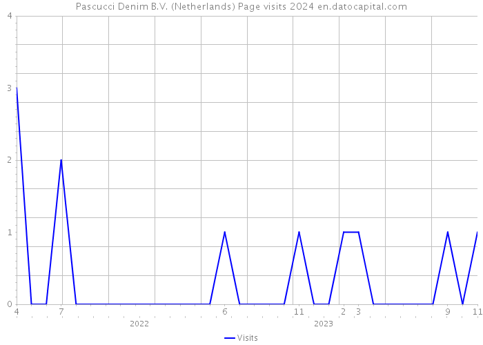 Pascucci Denim B.V. (Netherlands) Page visits 2024 