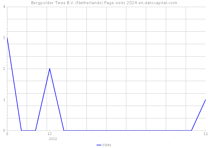 Bergpolder Twee B.V. (Netherlands) Page visits 2024 
