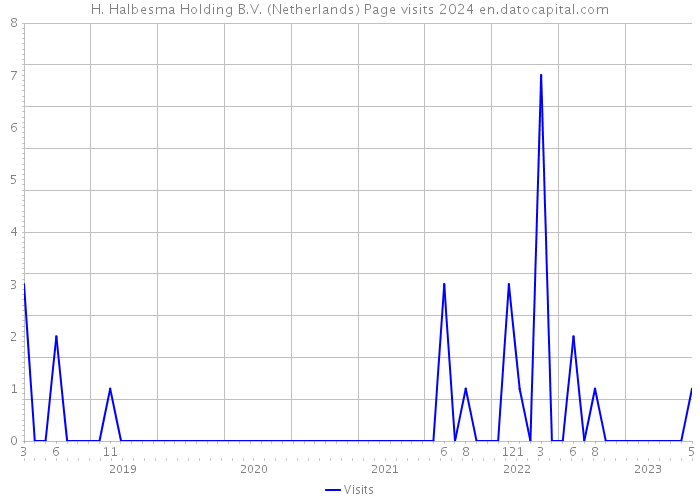 H. Halbesma Holding B.V. (Netherlands) Page visits 2024 