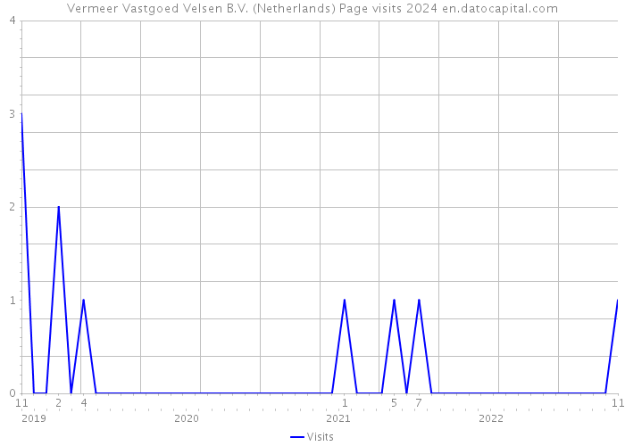 Vermeer Vastgoed Velsen B.V. (Netherlands) Page visits 2024 