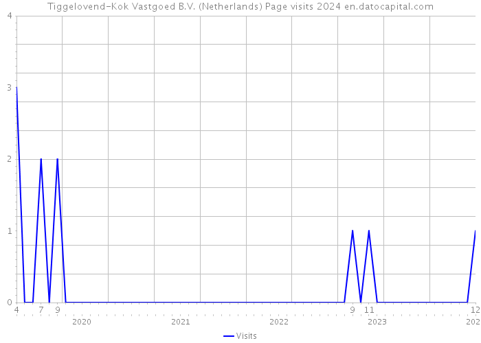 Tiggelovend-Kok Vastgoed B.V. (Netherlands) Page visits 2024 