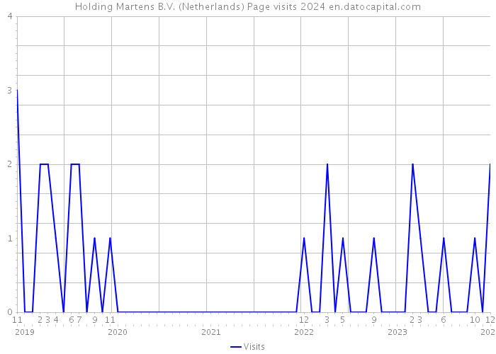 Holding Martens B.V. (Netherlands) Page visits 2024 