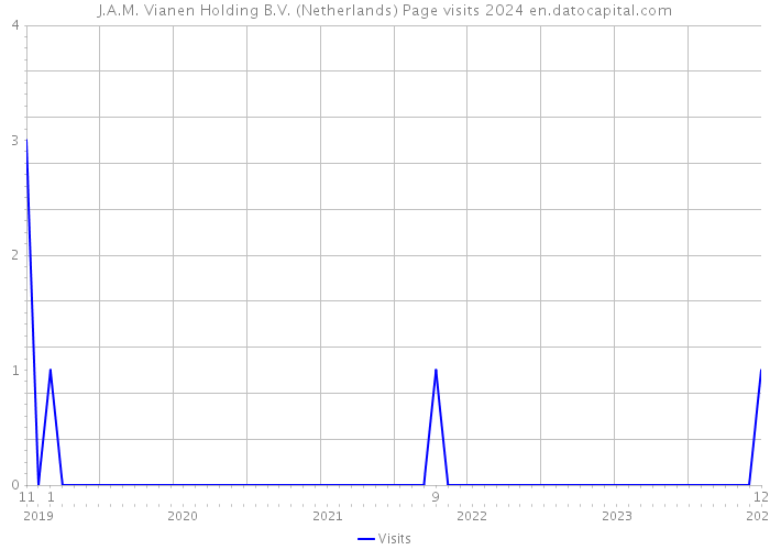 J.A.M. Vianen Holding B.V. (Netherlands) Page visits 2024 