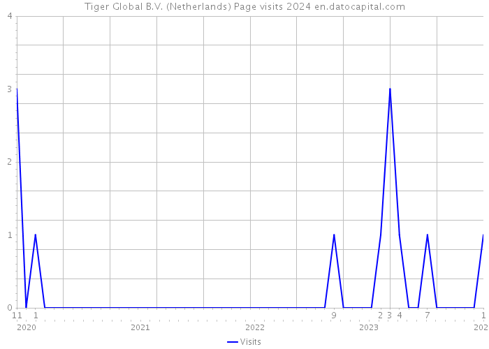 Tiger Global B.V. (Netherlands) Page visits 2024 