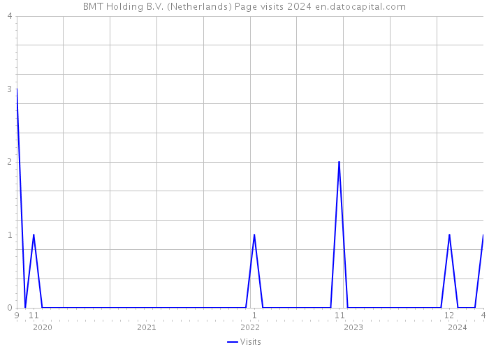 BMT Holding B.V. (Netherlands) Page visits 2024 