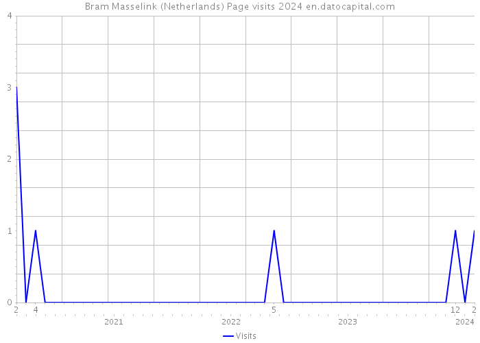 Bram Masselink (Netherlands) Page visits 2024 