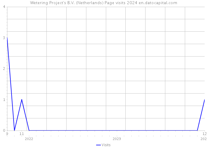 Wetering Project's B.V. (Netherlands) Page visits 2024 