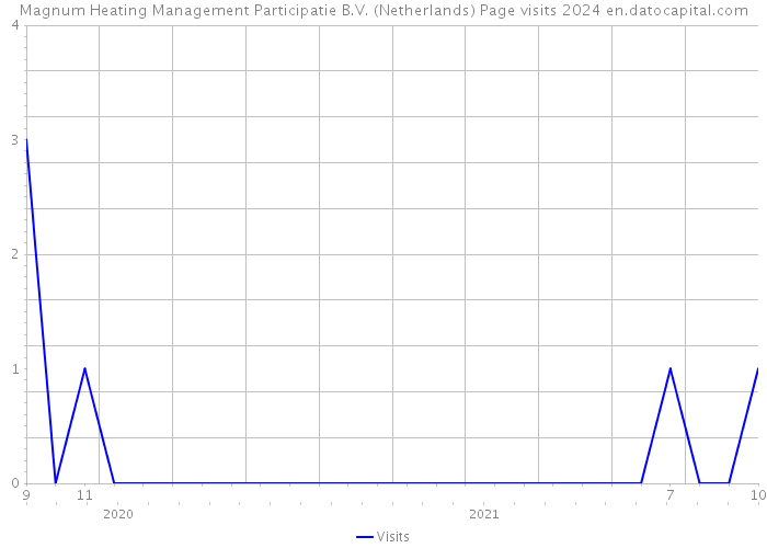 Magnum Heating Management Participatie B.V. (Netherlands) Page visits 2024 