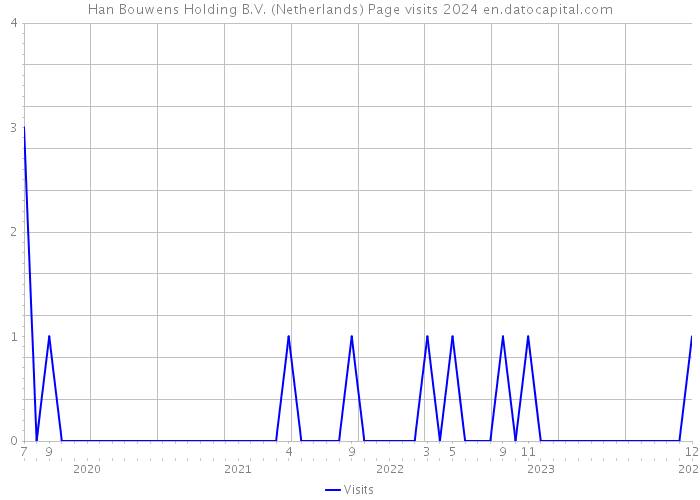Han Bouwens Holding B.V. (Netherlands) Page visits 2024 
