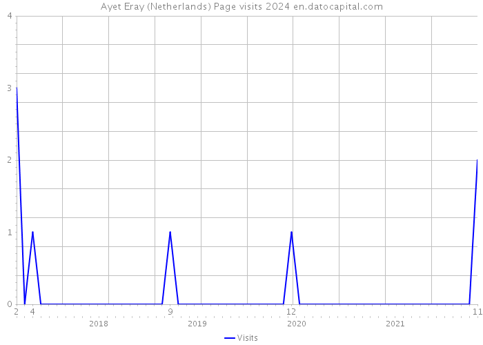 Ayet Eray (Netherlands) Page visits 2024 