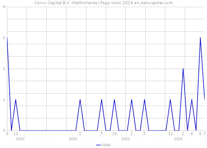 Cervo Capital B.V. (Netherlands) Page visits 2024 