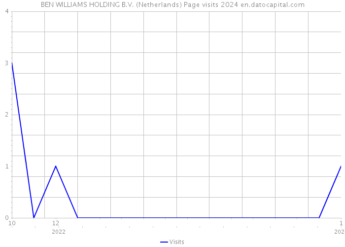 BEN WILLIAMS HOLDING B.V. (Netherlands) Page visits 2024 