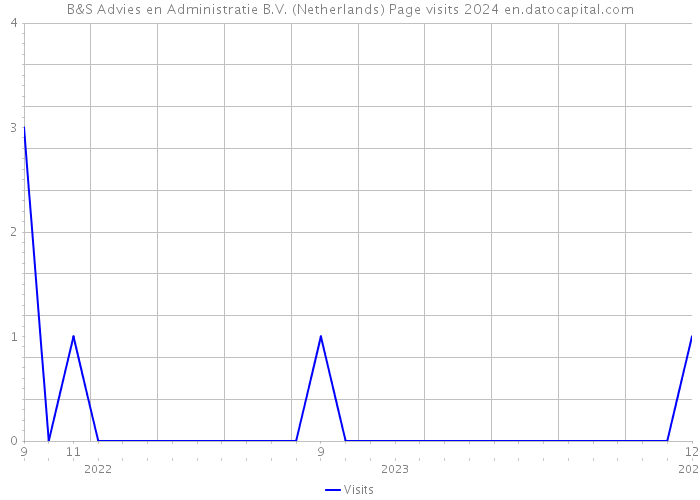 B&S Advies en Administratie B.V. (Netherlands) Page visits 2024 