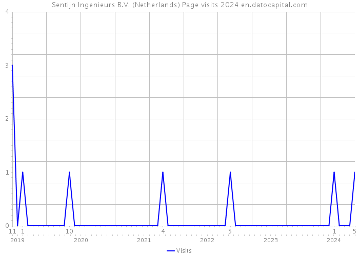 Sentijn Ingenieurs B.V. (Netherlands) Page visits 2024 