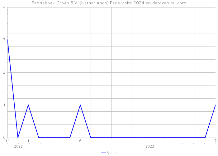 Pannekoek Groep B.V. (Netherlands) Page visits 2024 