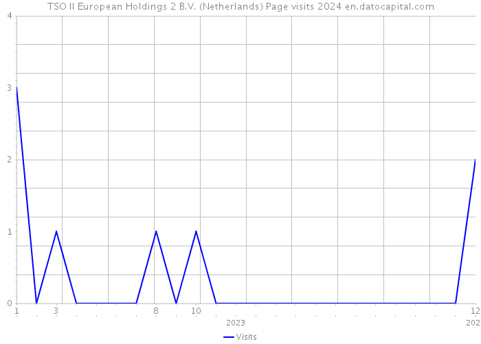 TSO II European Holdings 2 B.V. (Netherlands) Page visits 2024 