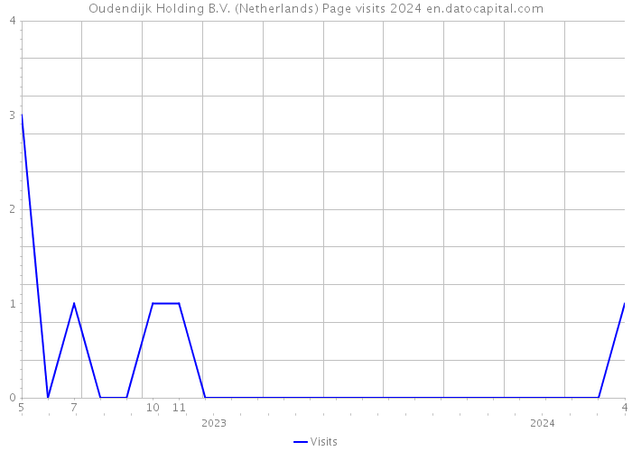 Oudendijk Holding B.V. (Netherlands) Page visits 2024 