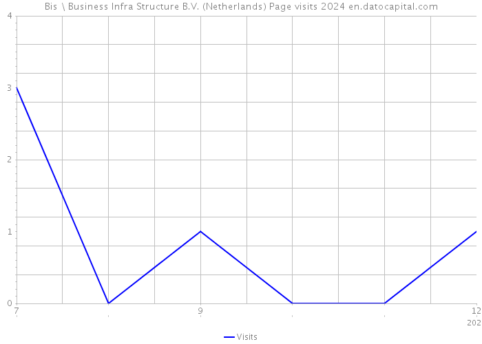 Bis \ Business Infra Structure B.V. (Netherlands) Page visits 2024 