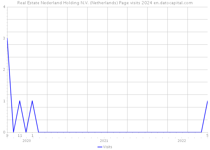 Real Estate Nederland Holding N.V. (Netherlands) Page visits 2024 