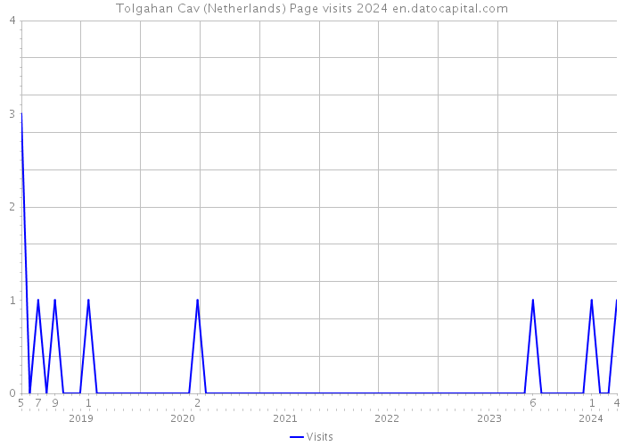 Tolgahan Cav (Netherlands) Page visits 2024 