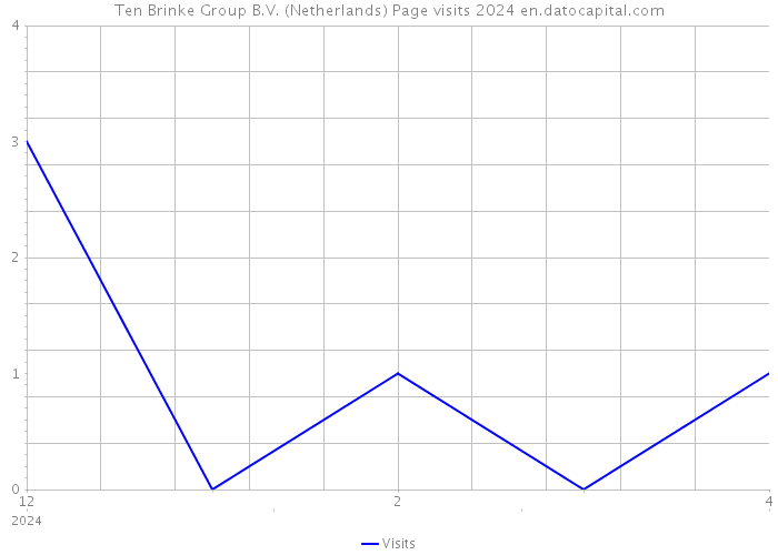 Ten Brinke Group B.V. (Netherlands) Page visits 2024 