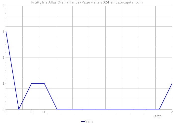Prutty Iris Allas (Netherlands) Page visits 2024 