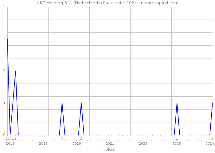 AKT Holding B.V. (Netherlands) Page visits 2024 