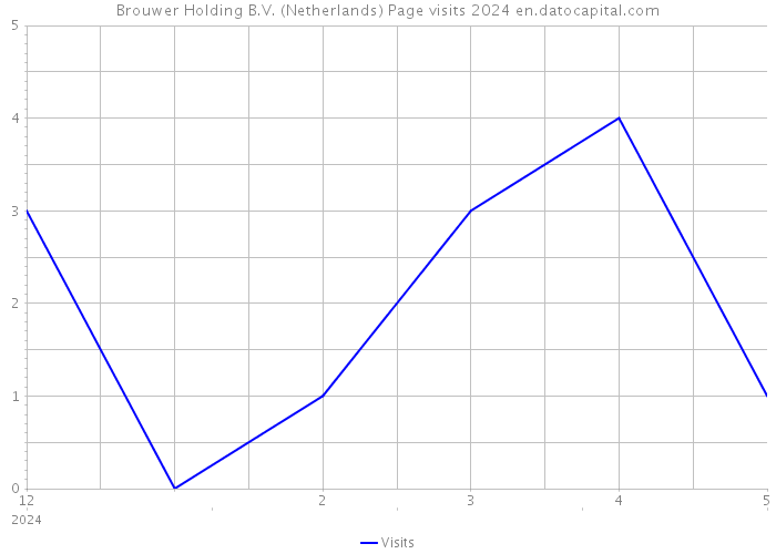 Brouwer Holding B.V. (Netherlands) Page visits 2024 
