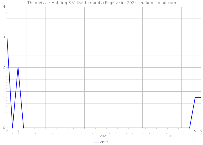Theo Visser Holding B.V. (Netherlands) Page visits 2024 