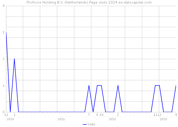 Profcore Holding B.V. (Netherlands) Page visits 2024 