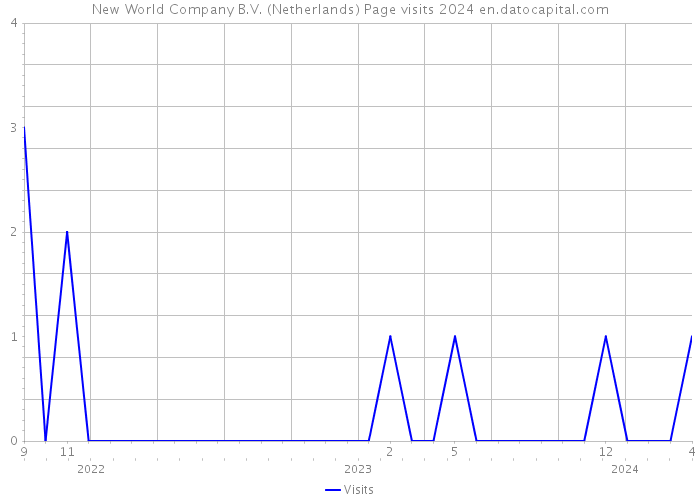New World Company B.V. (Netherlands) Page visits 2024 