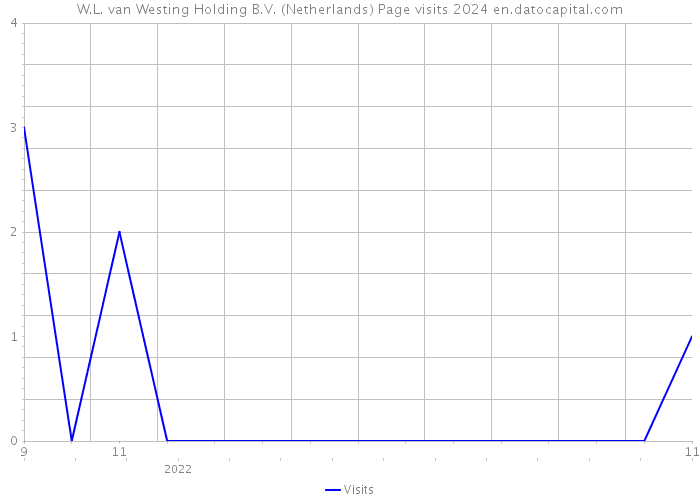 W.L. van Westing Holding B.V. (Netherlands) Page visits 2024 