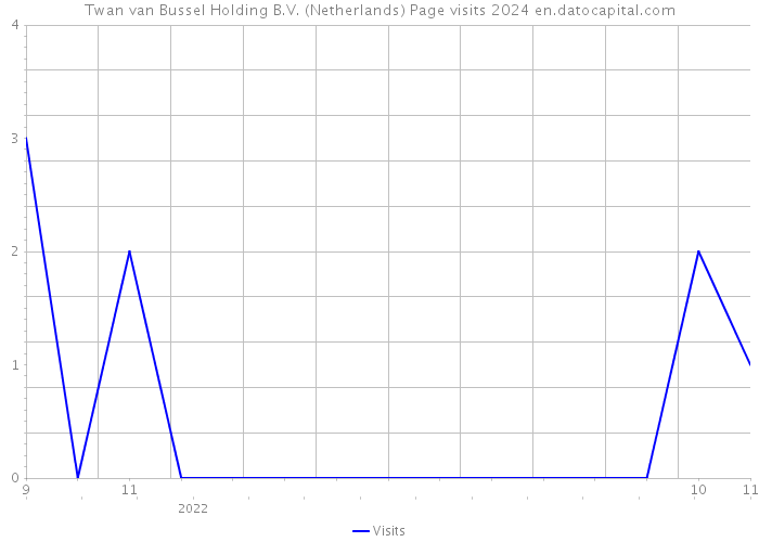Twan van Bussel Holding B.V. (Netherlands) Page visits 2024 