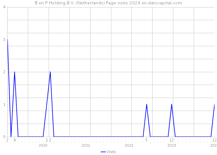 B en P Holding B.V. (Netherlands) Page visits 2024 