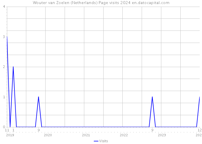 Wouter van Zoelen (Netherlands) Page visits 2024 