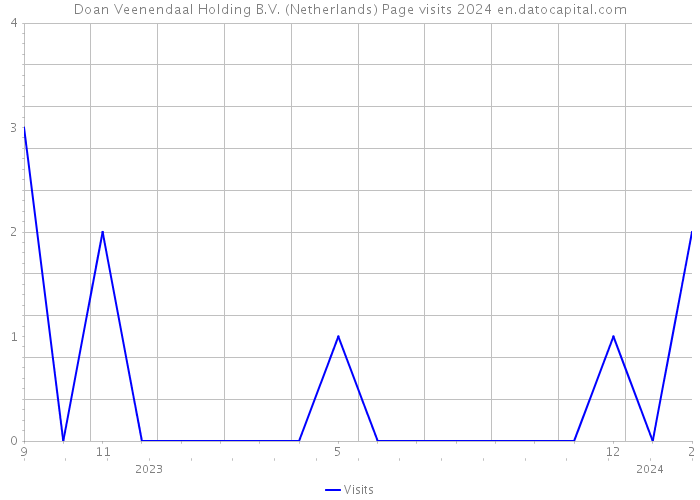 Doan Veenendaal Holding B.V. (Netherlands) Page visits 2024 