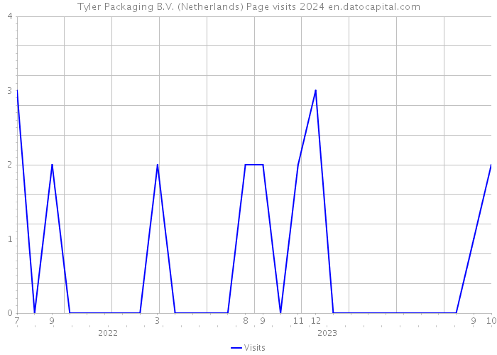 Tyler Packaging B.V. (Netherlands) Page visits 2024 