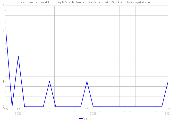 Flex International Holding B.V. (Netherlands) Page visits 2024 