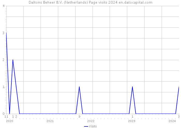 Daltons Beheer B.V. (Netherlands) Page visits 2024 