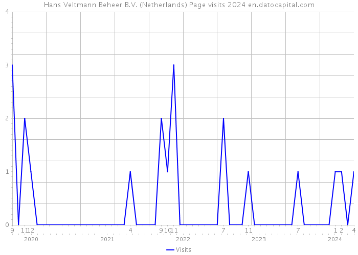 Hans Veltmann Beheer B.V. (Netherlands) Page visits 2024 